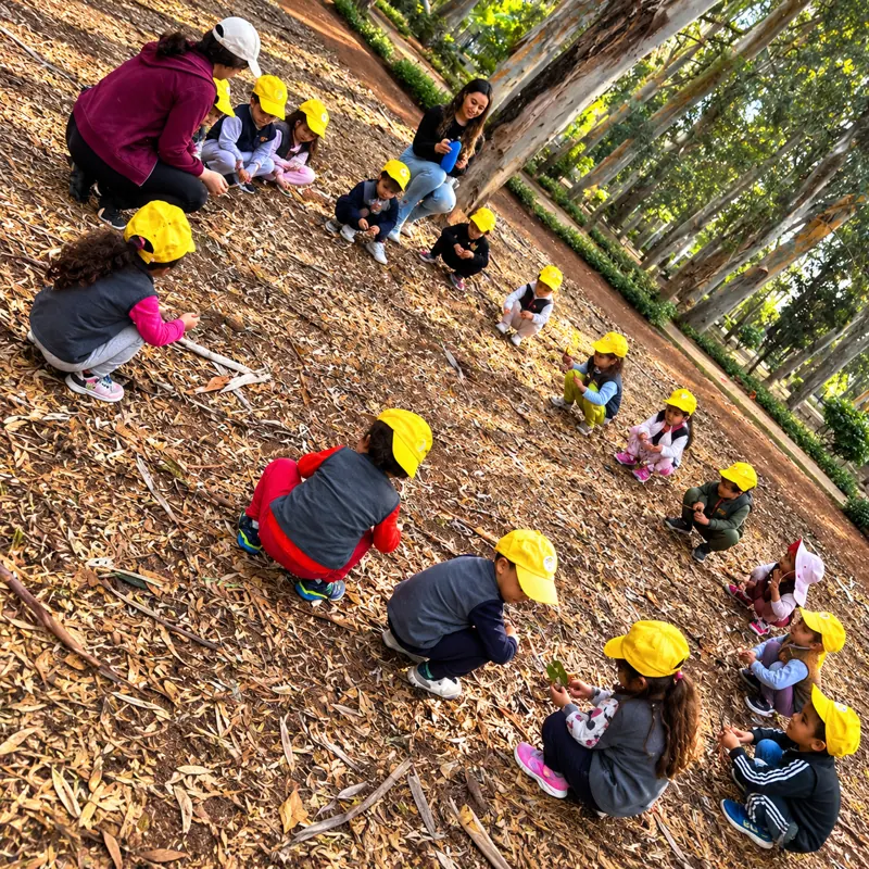 Enfants assis en cercle lors d'une sortie nature en forêt avec la crèche B.smart