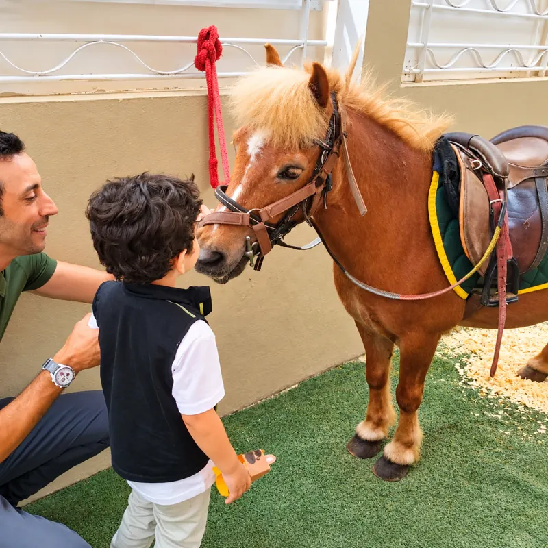 Enfant caressant un poney lors de la journée poney à la crèche B.smart