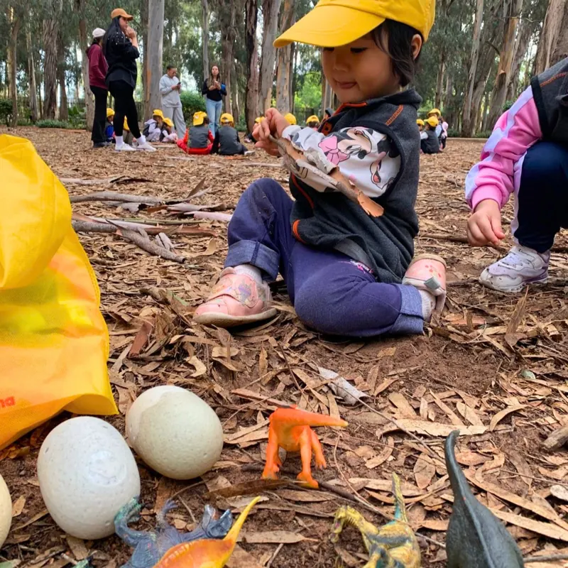Enfant cherchant des œufs de dinosaures lors d'une sortie en forêt