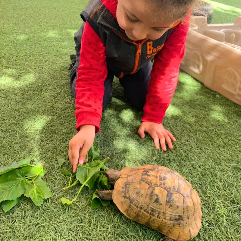 Enfant nourrissant la tortue de la crèche B.smart